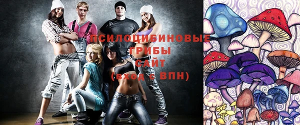 Альфа ПВП Медногорск