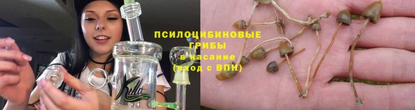 Альфа ПВП Медногорск