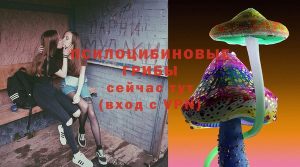 Альфа ПВП Медногорск