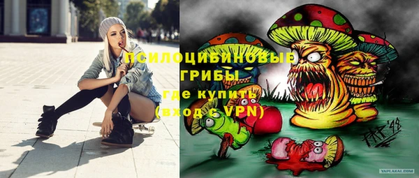 альфа пвп Медвежьегорск