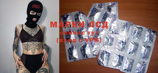 альфа пвп Медвежьегорск